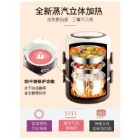 电热饭盒法耐(FANAI)可插电加热保温热饭蒸煮带饭锅迷你小饭煲上班族1人2 深咖啡(饭碗+菜碟)(电路板升级)