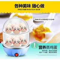 煮蛋器法耐(FANAI)自动断电迷你家用小型双层多功能蒸蛋器早餐机 蓝色双层豪华版