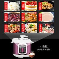 L6L电压力锅4L5L6L家用智能电法耐(FANAI)饭煲 高压锅 双胆正品 压力煲