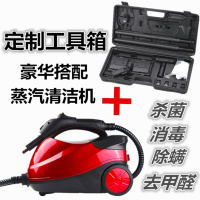 商用高温高压蒸汽清洁机法耐(FANAI)甲醛熏蒸清洗汽车桑拿贴膜机 红色标配+工具箱