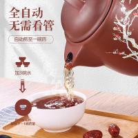 熬壶法耐(FANAI)全自动电煎中医壶家用煎药壶电药锅紫砂煲砂锅炖药罐 康好庭3L全自动+鸣音提醒白陶瓷不粘锅