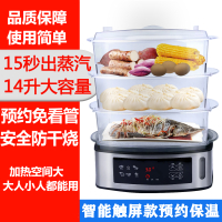透明电蒸锅法耐(FANAI)多功能蒸汽锅预约定时保温防干烧家用大容量