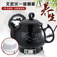 全自动壶煎药壶法耐(FANAI)熬药壶养生煮药壶煎药灌煎药锅 3L白梅花八核(白陶晶+鸣音)