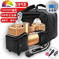 舒适主义车载充气泵双缸高压[12V220V]便携式汽车轮胎打气泵篮球打气筒 双缸金色属泵数显款[车家两用]