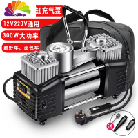 舒适主义车载充气泵双缸高压[12V220V]便携式汽车轮胎打气泵篮球打气筒 双缸金色泵指针款[车家两用]