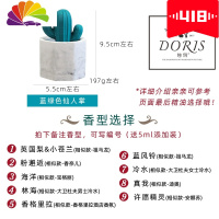 舒适主义创意车载香水香薰摆件汽车香水扩香石沙漠植物仙人掌车内装饰香氛 蓝绿色仙人掌