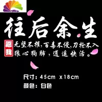 舒适主义汽车贴纸往后余生车贴纸个性创意文字车身贴后玻璃装饰贴网红车贴 往后余生45x18cm白色一张(带花瓣)