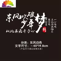 舒适主义东风吹破少年梦车贴从此再无赤子心网红一心向钱个性车装饰贴纸 东风白色45cm