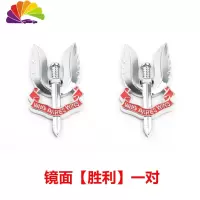 舒适主义汽车金属车身侧标3D立体标贴装饰奔驰C级E级加长版车标侧标志改装 镜面[胜利标]一对车贴