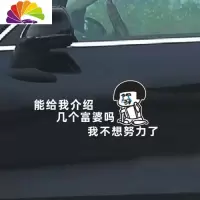 舒适主义抖音网红个性贴纸能给我介绍几个富婆吗我不想努力了搞笑汽车贴纸 50厘米白色介绍富婆