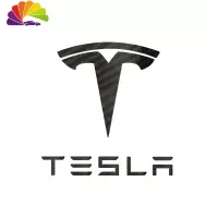舒适主义特斯拉 tesla model x s反光车标贴膜装饰车贴轮毂把手改装配件 MODELX碳纤纹全套(不反光)