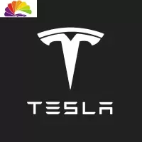 舒适主义特斯拉 tesla model x s反光车标贴膜装饰车贴轮毂把手改装配件 MODELS二代反光白色全套