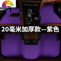 舒适主义汽车脚垫专用c级奔驰c200l丝圈c260l c180地毯e级e200e260e3 [20毫米厚款一紫色]—[奔