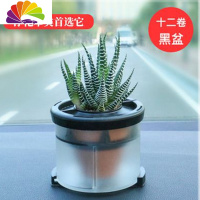 舒适主义汽车载真花车内盆栽中控台摆件绿植车里除甲醛绿色花多肉小植物 黑色十二卷