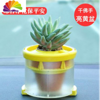 舒适主义汽车载真花车内盆栽中控台摆件绿植车里除甲醛绿色花多肉小植物 黄色千佛手