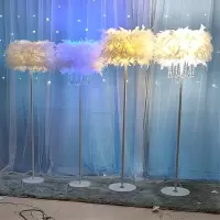 如华福禄羽毛落地灯客厅直播间装饰ins少女网红床头灯台灯卧室设计感轻奢