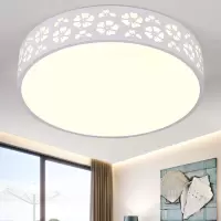 简约现代 智能圆形吸顶灯花瓣田园花朵雪花镂空客厅卧室餐厅书房邦可臣灯具灯饰房间厨房阳台厨卫