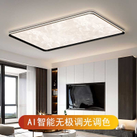 林下春雪意式长方形云雾极简客厅吸顶灯屋套餐现代简约大气高级灯具