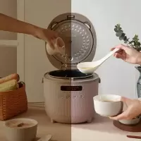 Bear/小熊 电饭煲家用3L迷你小型蒸饭锅2人智能多功能 紫褐色
