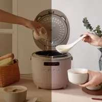 小熊电饭煲迷你小型1-2人电饭锅3L家用多功能3-4人智能定时煮饭锅 紫褐色