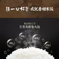 Bear/小熊 电饭煲3L家用智能小型柴火饭小煮饭锅2-3-4人