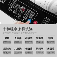 长虹12公斤家商两用大洗衣机 全自动波轮式风干节能洗脱一体机 12公斤升级款