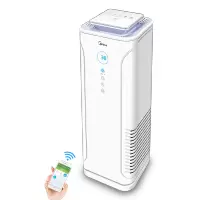 美的空气净化器家用卧室二手烟味pm2.5负离子净化机E33 典雅白
