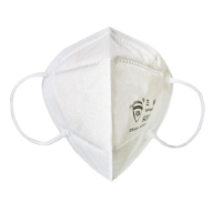 [72小时发货]KN95口罩10只有效隔离PM2.5雾霾防尘透气非一次性成人口罩