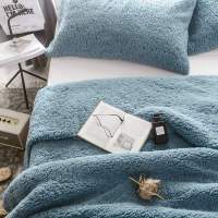 加厚法兰绒羊羔绒毛毯被子冬季保暖