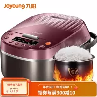 九阳(Joyoung)迷你电饭煲 两人用袖珍小饭锅 多功能小饭煲 智能预约2L饭锅 小容量2升饭煲 5L容量厚釜内胆 5