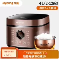 九阳电饭煲家用4L迷你小型蒸饭锅2-5人智能多功能1正品 咖啡色