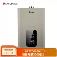 志高 CHIGO 燃气热水器 强排式多点供水 13升家用天然气 速热变频恒温降噪 [16L]+零冷水