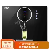 爱华普净水器家用直饮加热一体机反渗透纯水机客厅厨房过滤器壁挂 标准版(单出水+自行安装)
