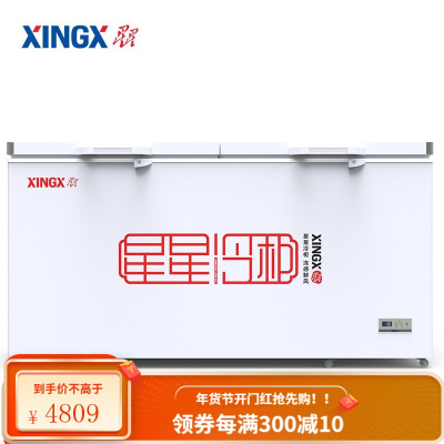 星星(XINGX) BD/BC303FE 超低温冰柜冷柜 商用大容量 冷藏冷冻速冻柜 急冻冰箱