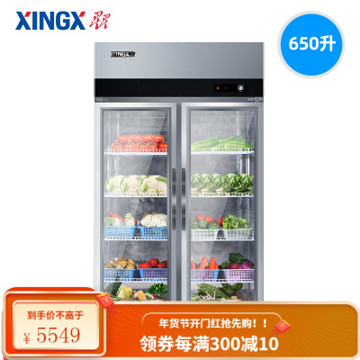 星星(XINGX)酒店饭店厨房冰箱 立式不锈钢 650E 650升双温厨房冰箱 650升冷藏厨房冰箱