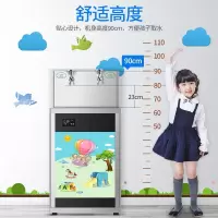 志高(CHIGO) 直饮机商用开水器办公室开水机学校幼儿园过滤恒温节能全自动直饮水机开水机 幼儿园机(220V/2KW)