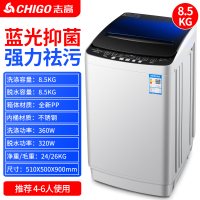 志高洗衣机全自动家用10kg小型大容量迷你洗脱一体宿舍租房烘干 ⑧⑤蓝光款