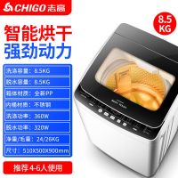 志高全自动大容量洗衣机3.8/7.5/8.5公斤家用小型宿舍迷你甩干 8.5KG热烘干
