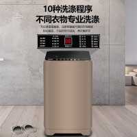 志高(CHIGO)洗衣机全自动小 家用小型波轮大容量租房宿舍迷你儿童洗脱烘干一体 桶自洁风干童锁预约 5.5公斤咖啡金