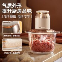 小熊(Bear)绞肉机家用 绞馅机 碎肉机 电动多功能料理搅拌机打肉机饺子肉馅蒜蓉机 搅肉机QSJ-D03D7 2L ⭐