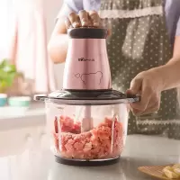 小熊(Bear) 绞肉机 家用电动不锈钢搅拌机绞馅机切碎肉机辅食料理机绞菜打蒜机 双刀头 30s快绞 QSJ-B03H2