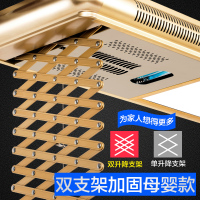 德国电动晾衣架自动升降遥控晾衣晒衣架智能伸缩阳台晾衣机