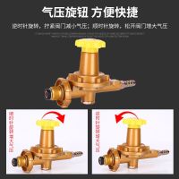 煤气减压阀家用液化气安全阀防爆阀门煤气罐阀压力表压阀可调带表