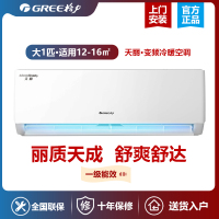 Gree/格力空调天丽大1匹冷暖节能静音变频一级能效壁挂式家用空调KFR-26GW/(26530)