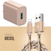 苹果6s数据线2米加长iphonexr/7/8plus快充电器头ipad充电线直插|土豪金[充电头+数据线] 2米