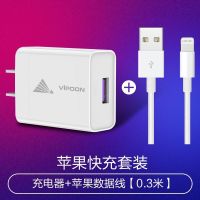 苹果数据线5se/6sp/7/8plus/xs11快充头max手机ipad3mini2|套装[苹果快充头+0.3米长线]