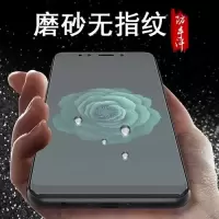 k1r17r15r11sp磨砂膜a7a3a5a7x手机全屏游戏钢化贴膜a1防爆蓝