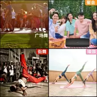德国蓝牙音响便携户外k歌广场舞家用插卡u盘超重低音炮大音量音箱