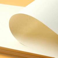 8k素描纸美术手绘彩铅绘画专用速写纸儿童画画纸铅画白纸涂鸦纸|加厚150g素描纸本色微黄20张 8k+10支铅笔