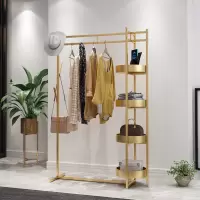 挂衣架北欧衣帽架房间卧室现代衣服架子轻奢落地简约创意收纳家用